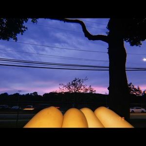 Meet your Posher, Angelie